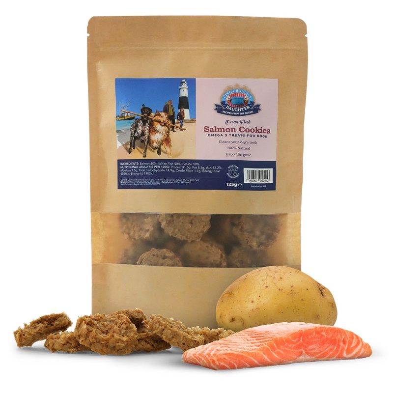 Salmon Cookies
